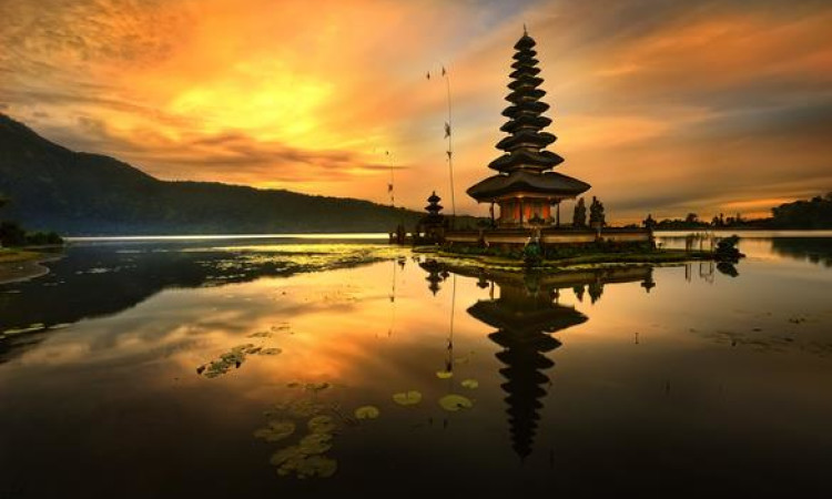 Madrid System fails to have an impact for local filers: an analysis of the Indonesian trademark market
