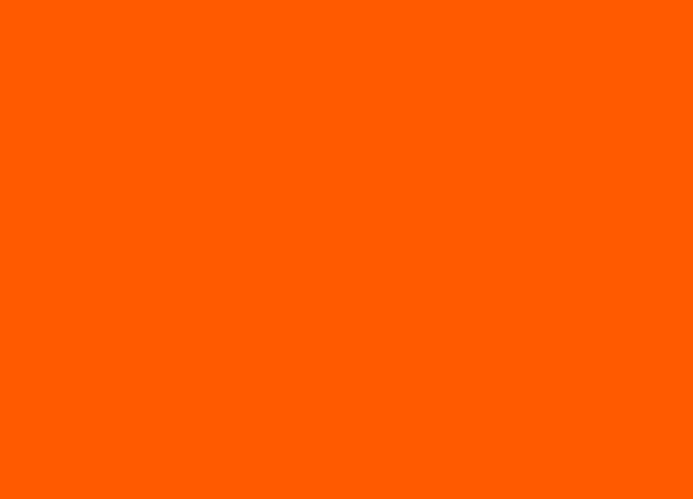 Figure 1: orange colour RGB255/90/0